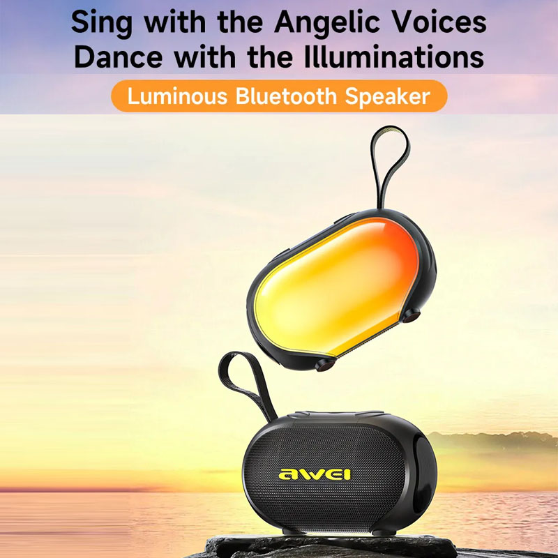 portable speaker